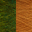Forest Green/Yellow